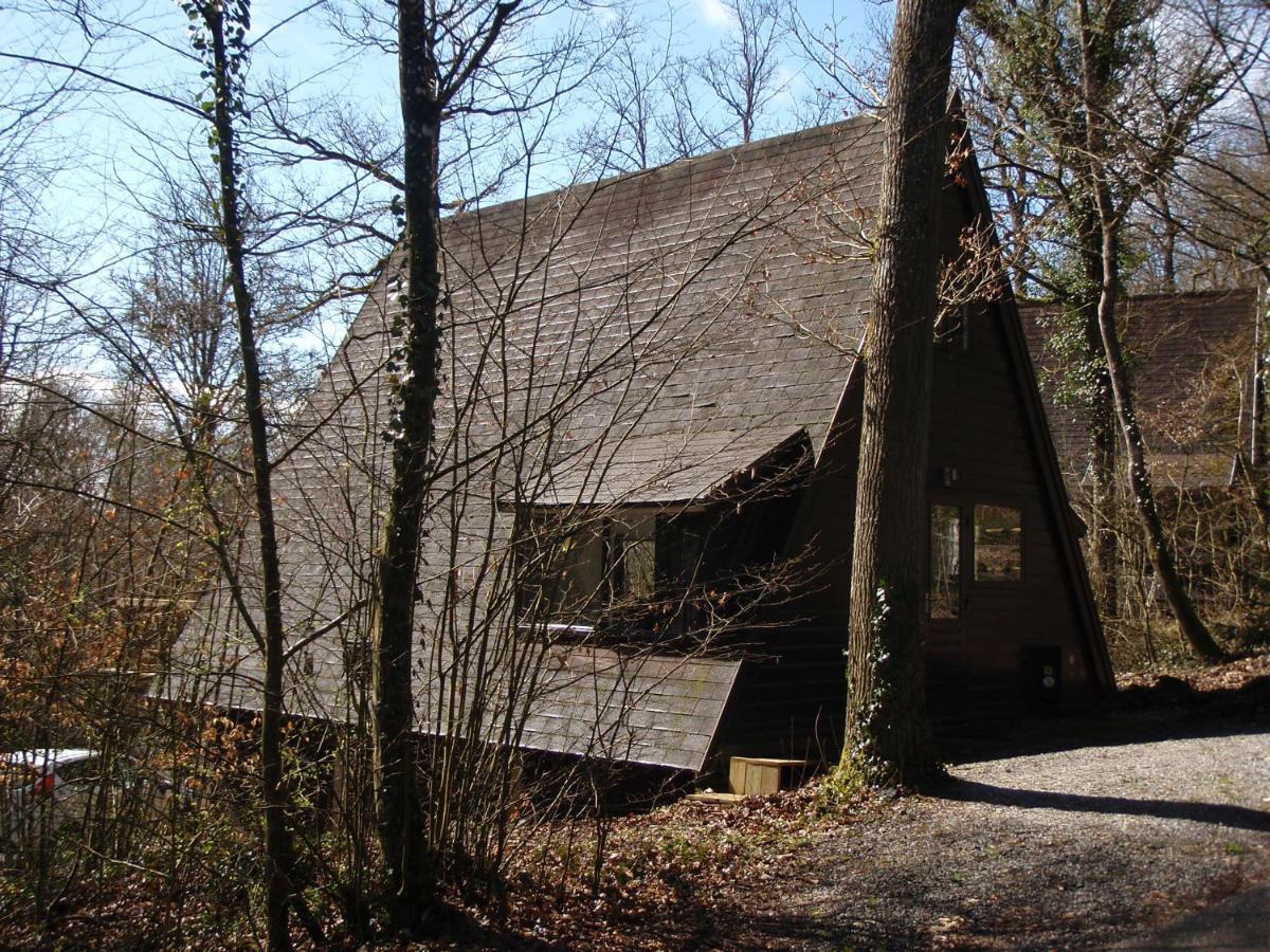 Cabin Life Durbuy Villa Екстериор снимка